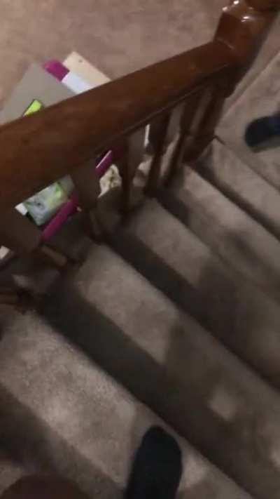 Spiders are my enemy