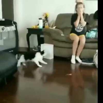 А вот нечего было злить...