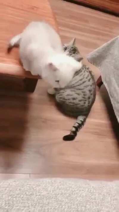 Don't worry baby... Momma got you