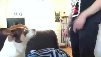 Mister Bubz gets BUSTED