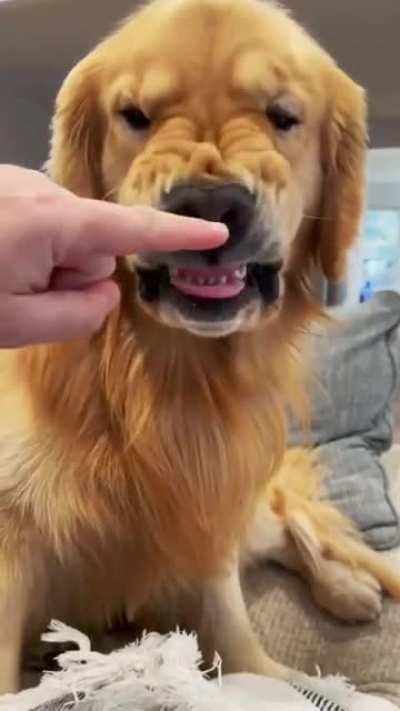 You're not fooling anyone, tough guy.