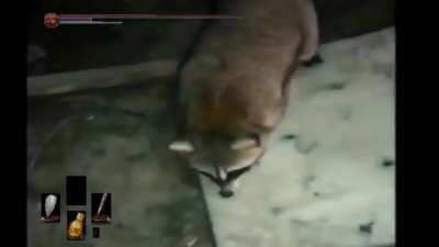 MonkaW é melhor dar no pé