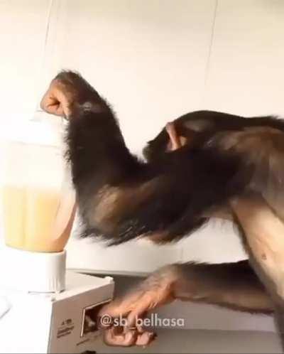 Wucock after oneshoting Zyrass with the new assassin items