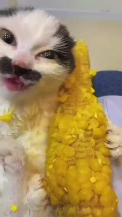 Maize! favored cuisine!