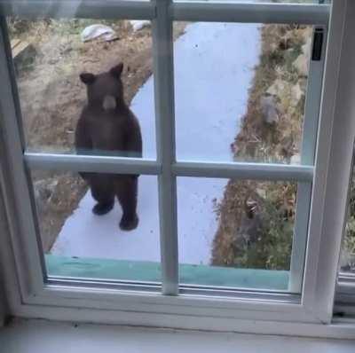 Извините, я вас не поняла, из какой вы квартиры ?