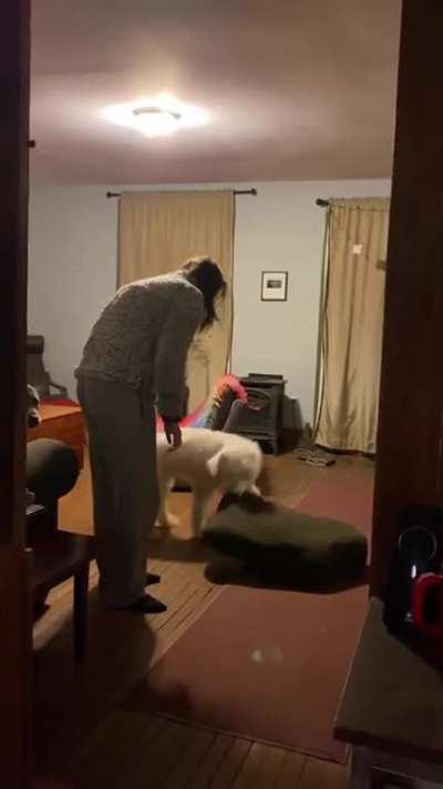 That is heartwarming