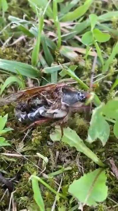 Когда пусто внутри