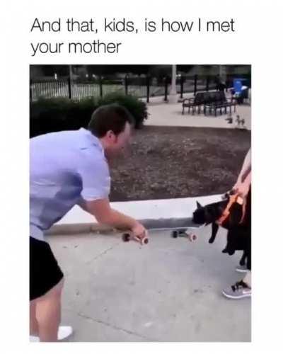 Dog won't let go of skateboard