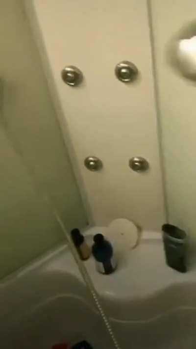 Nielpap shun shun shun