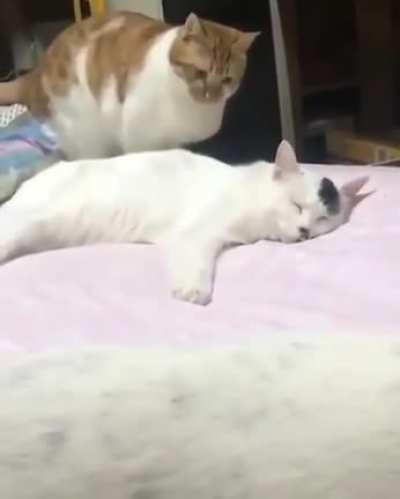 I'm awake and you are happily sleeping