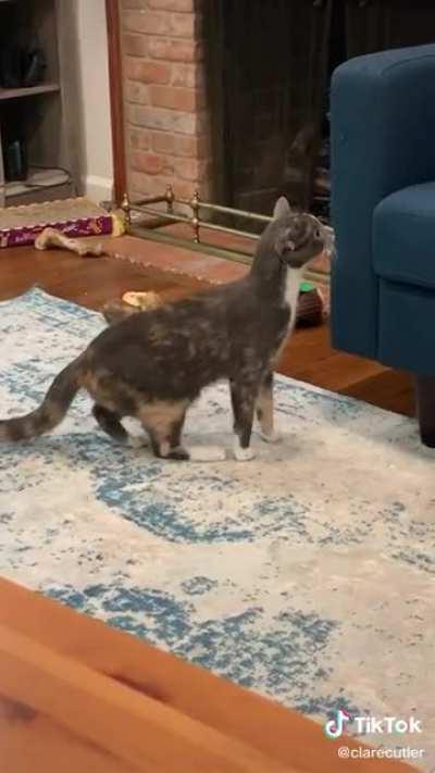 Perfect use of the music