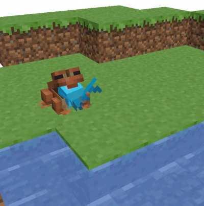 when the frog cant find bugs...