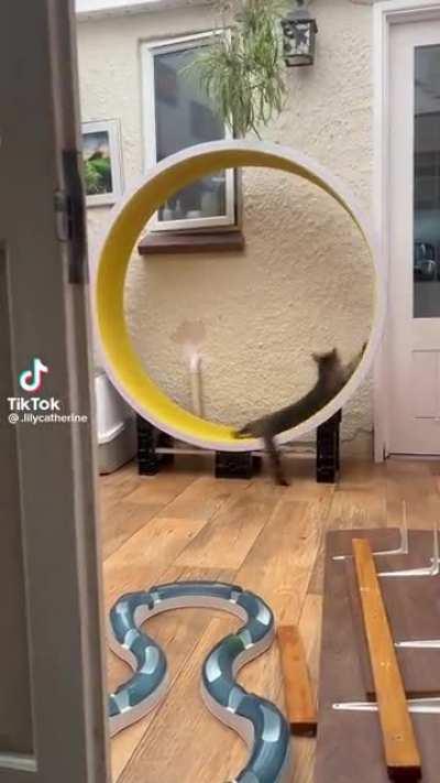 Am I doing this right?