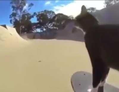 SPREAD EAGLE CROSS THE BLOCK