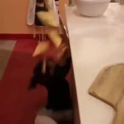 She didn’t even trip on anything 💀