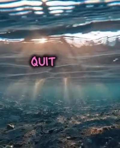 Recommend me a anime, and I will come back with a review later. What will you give me?