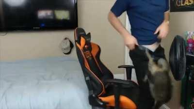 The best live stream you've seen all minute. Also. . . . Cat.