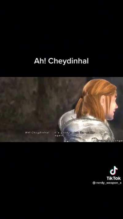 No one: Oblivion npcs: