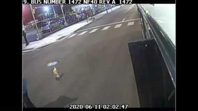 Trying to fight a bus driver