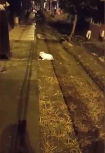 Anybody lose their pants? 👖