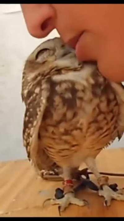 Your kisses are addictive, I need them every day.