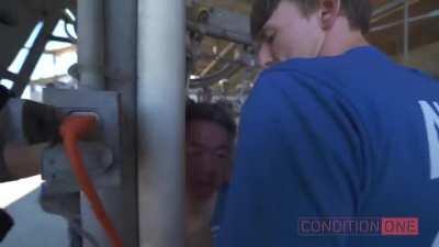 Vegan protester chained to slaughterhouse machinery gets almost decapitated