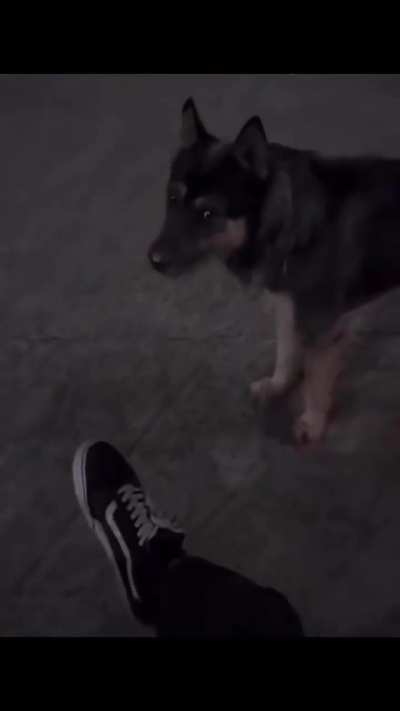 Bro Didn't Expect To Get This Far 😭