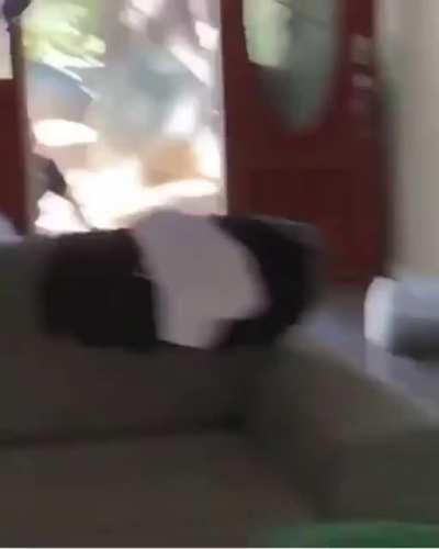 Idiot Damn Nearly Decapatayshoned!