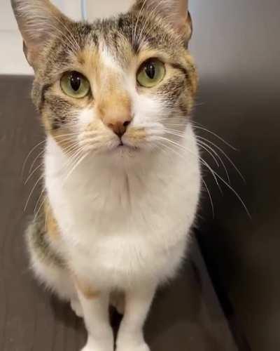 The sound of disappointment