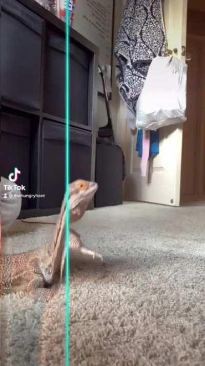 Welcome to Jurassic World