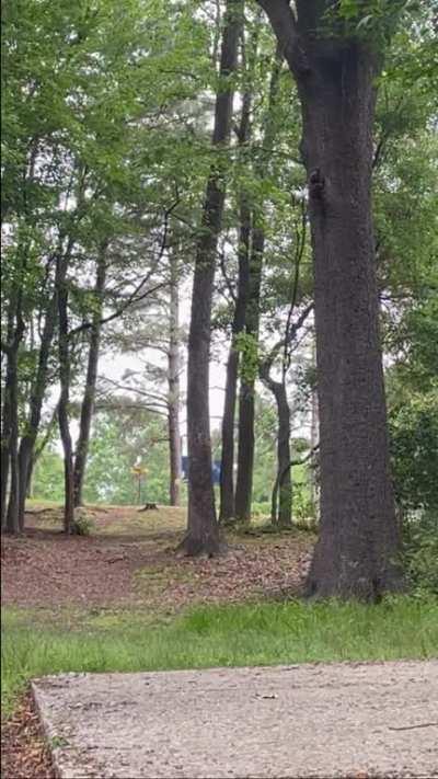 Tomahawk throws, disk golf