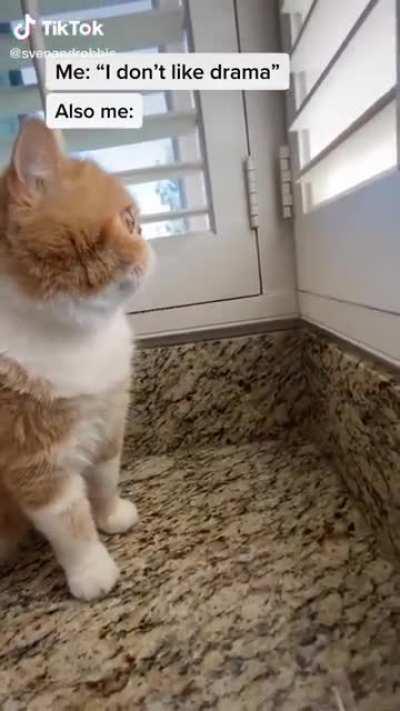 When your neighbors fight