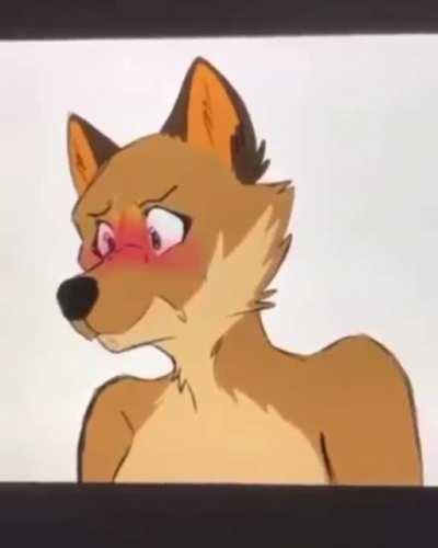 Cute_irl