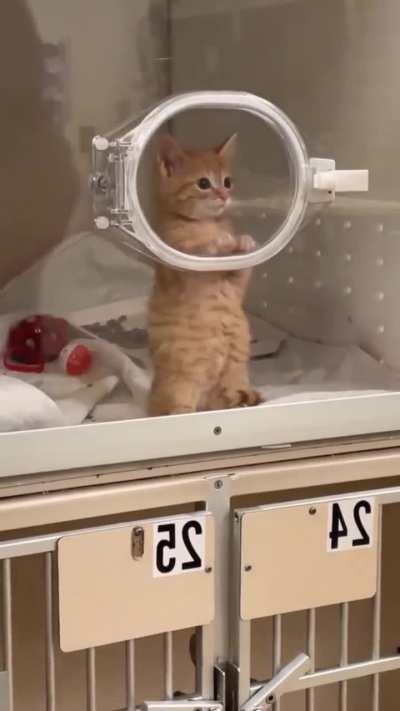 Cute waiting 🥺🥺