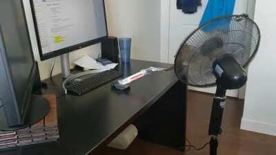 AI automating my industry job. Time to go get that CS degree