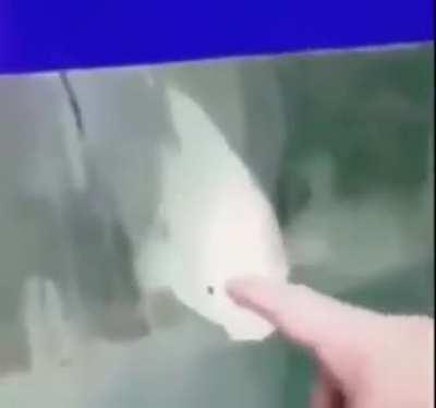 that moment when your phone dies in the middle of posting videos so you post more a couple hours later and pretend it never happened but it did