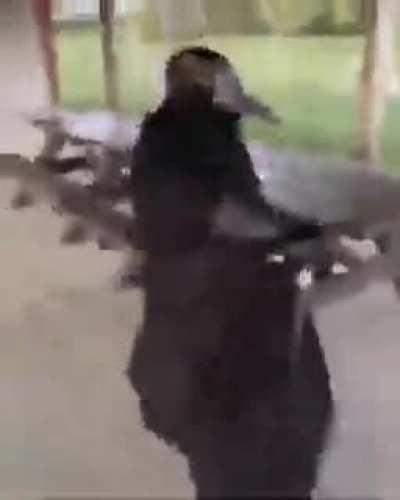 Witch doctors after making someone drink their own pee saying it will help stop the plague