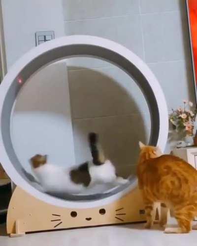 A little secret to make them run.