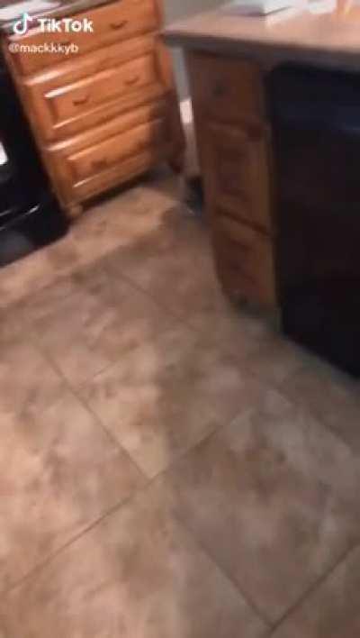 Meow meow, BRRRRRRRR