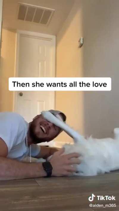 Hot to wake up a deaf & blind pup