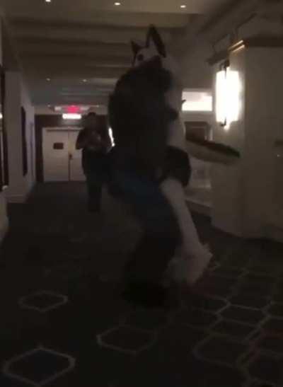 Hasta entre furros hay niveles