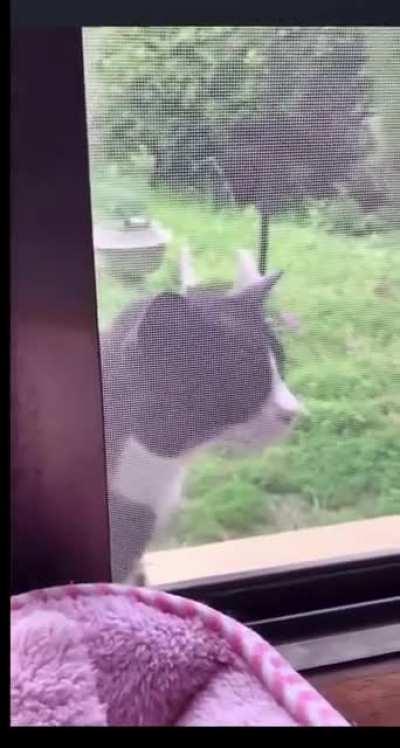 This video speaks for itself 😂