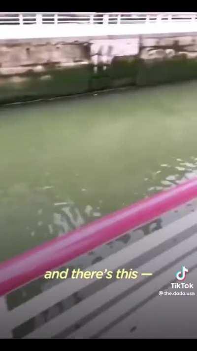 Jeffrey’s Inspirational Journey