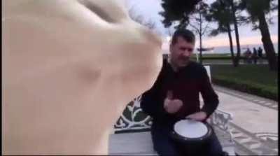 Less Than 24 Hours Left Until Earnings Report!!!! LET'S GOOOO!!!!!! 🙈 🚀🚀🚀 ✨ ✨