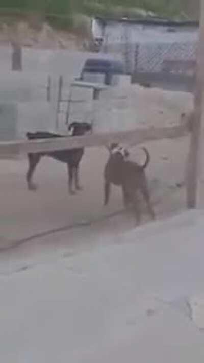 Horny jail inmate finds out other inmate did a horny