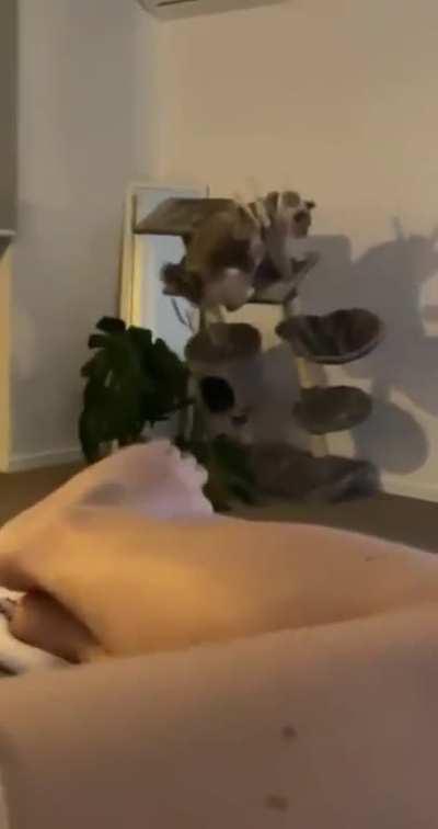 With Choncker everything is grace