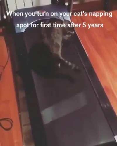 Why does my favorite laying spot keep moving?