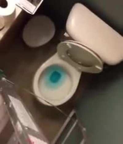 Trick shot epico finito merda