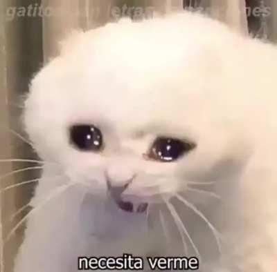 El muchacho de ojos triste😭