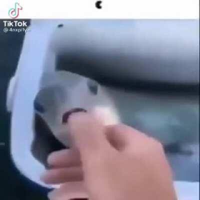 BOYS KNOW WHAT TO DO😈😈😈😳